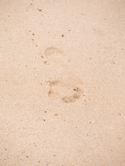 Close up of footprints on the beach sand at the sunset