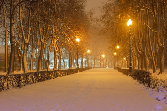 Izmailovo Park of Culture and Rest in the winter blizzard night
