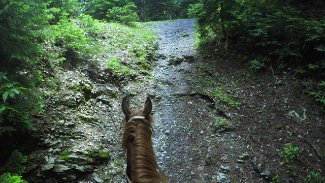 Astride on horse