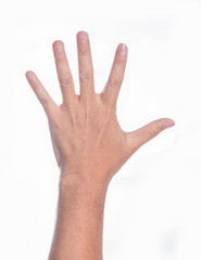 Female hand raised up lifted up in the air isolated on white bac