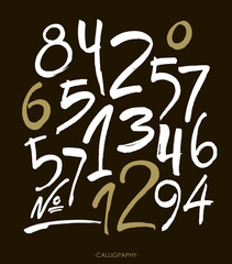 vector set of calligraphic acrylic or ink numbers