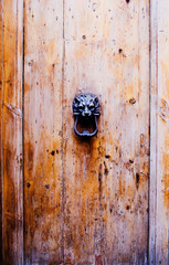 Old, vintage wood door with a decorated lion head handle