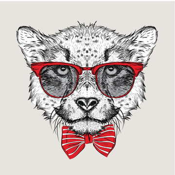 Image Portrait cheetah in the cravat and with glasses. Vector illustration.