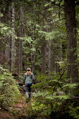 Naklejka na ściany i meble Woman Hiking Through The Woodland Wilderness
