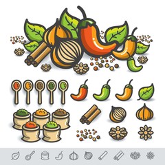 Spices and Herbs Vector