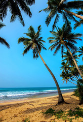 Obraz na płótnie Canvas Beaches in Sri Lanka