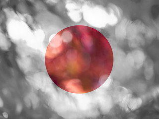 bokeh Japan autum leaf flag set 