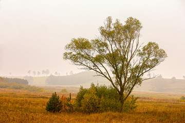 jesienny poranek na Podlasiu © Janusz Lipiński