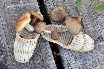 Russian autumn still life with mushrooms and bast shoes