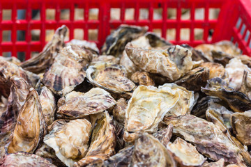 Oysters market in Cancale, France