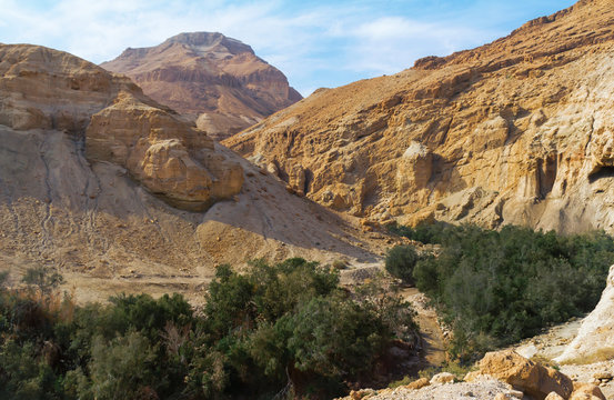 Nahal Bokek. Judean Desert