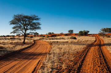 Sandpiste in der Kalahari, Namibia, Abendstimmung - obrazy, fototapety, plakaty
