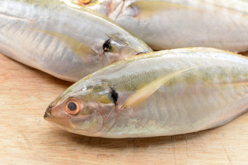Mackerel on the wooden floor