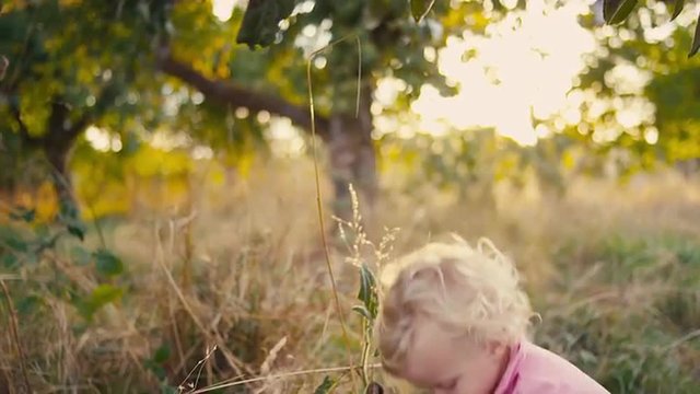 A cute little girl picks an apple off of a tree in a field