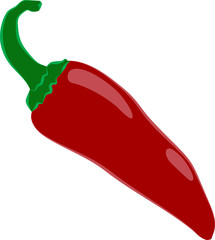 One red, bitter pepper vector