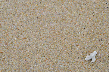 Sand beach texture background.