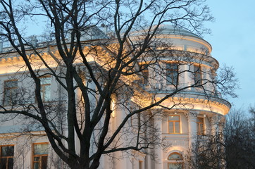 Fototapeta premium Окна дворца в ранних зимних сумерках