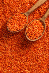 Red lentils in the wooden spoons