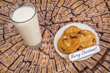Freshly baked white chocolate and cranberry cookies.