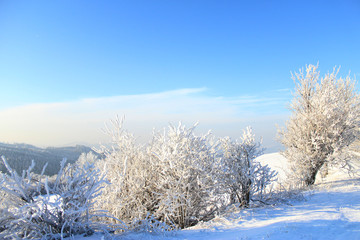 Beautiful winter landscape in Valachia