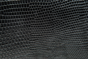 Black reptile leather texture background.