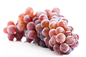 Collection of Fresh Grapes on Bright Backgroup Up Close