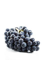 Collection of Fresh Grapes on Bright Backgroup Up Close