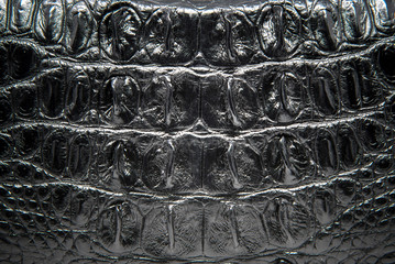 Black Leather texture, crocodile skin background.
