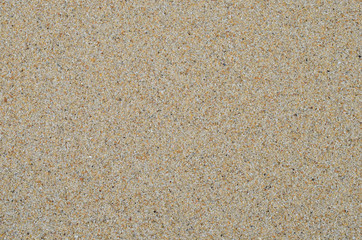 sand beach background.