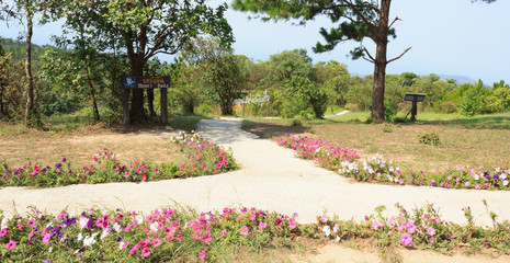 Obraz premium walkway in the park