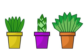 plants pot cartoon illustration