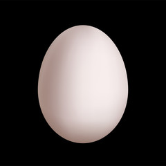 picture of egg26