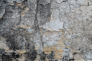 Textured walls with dirt.