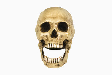 Fototapeta premium skull on white background
