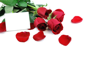 bunch of red roses with petals and blank card ready for text