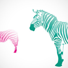 zèbre forme graphique
