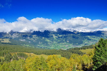 Fototapeta na wymiar スイス　登山鉄道車窓からのアルプスの風景