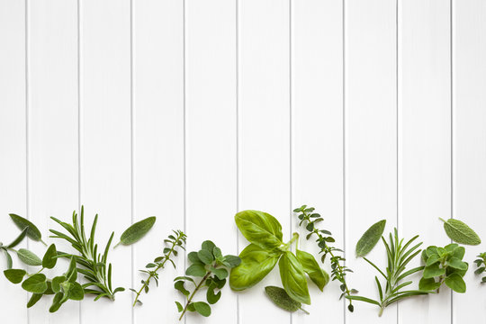 Details 200 herbs background images