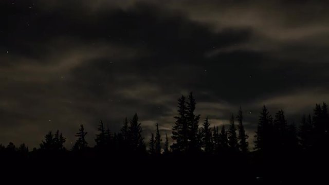 Full moon setting over silhouette of trees. 4K UHD time lapse.