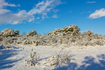 snowy landscape with blue sky and white clouds