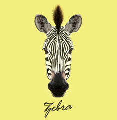 Zebra wild animal face. Vector cute African safari black and white Zebra head portrait. Realistic fur portrait of beautiful striped savannah Zebra on yellow background. - obrazy, fototapety, plakaty