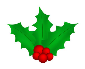 Holly berry, Christmas leaves and fruits icon, symbol, design. Winter vector illustration isolated on white background.