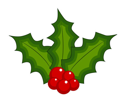 Holly berry, Christmas leaves and fruits icon, symbol, design. Winter vector illustration isolated on white background.