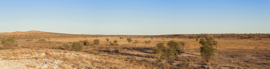 Dry Nossob River in the Kgalagadi Transfrontier Park, South Africa
