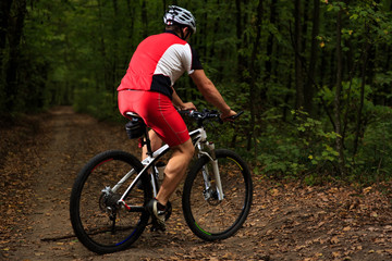 Bicyclist with His Bicycle in the Summer Forest