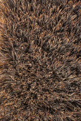 Clothes brush fleece