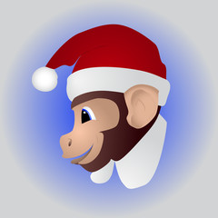 New year a cute monkey