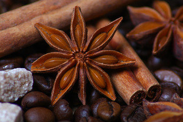 Closeup of star anise, fresh fragrant cinnamon sticks and coffee grains, seasoning ingredients for...