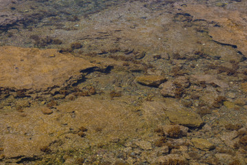 Bottom of the Ptotaras beach, Cyprus.