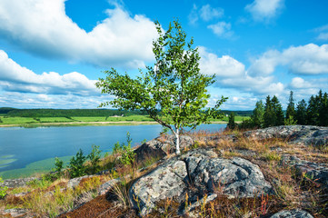 Nature in summer, Karelia, Russia